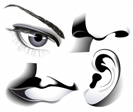 Each of the five senses has a specific impact on how we perceive and respond to content. Each of the five senses has a specific impact on how we perceive and respond to content.