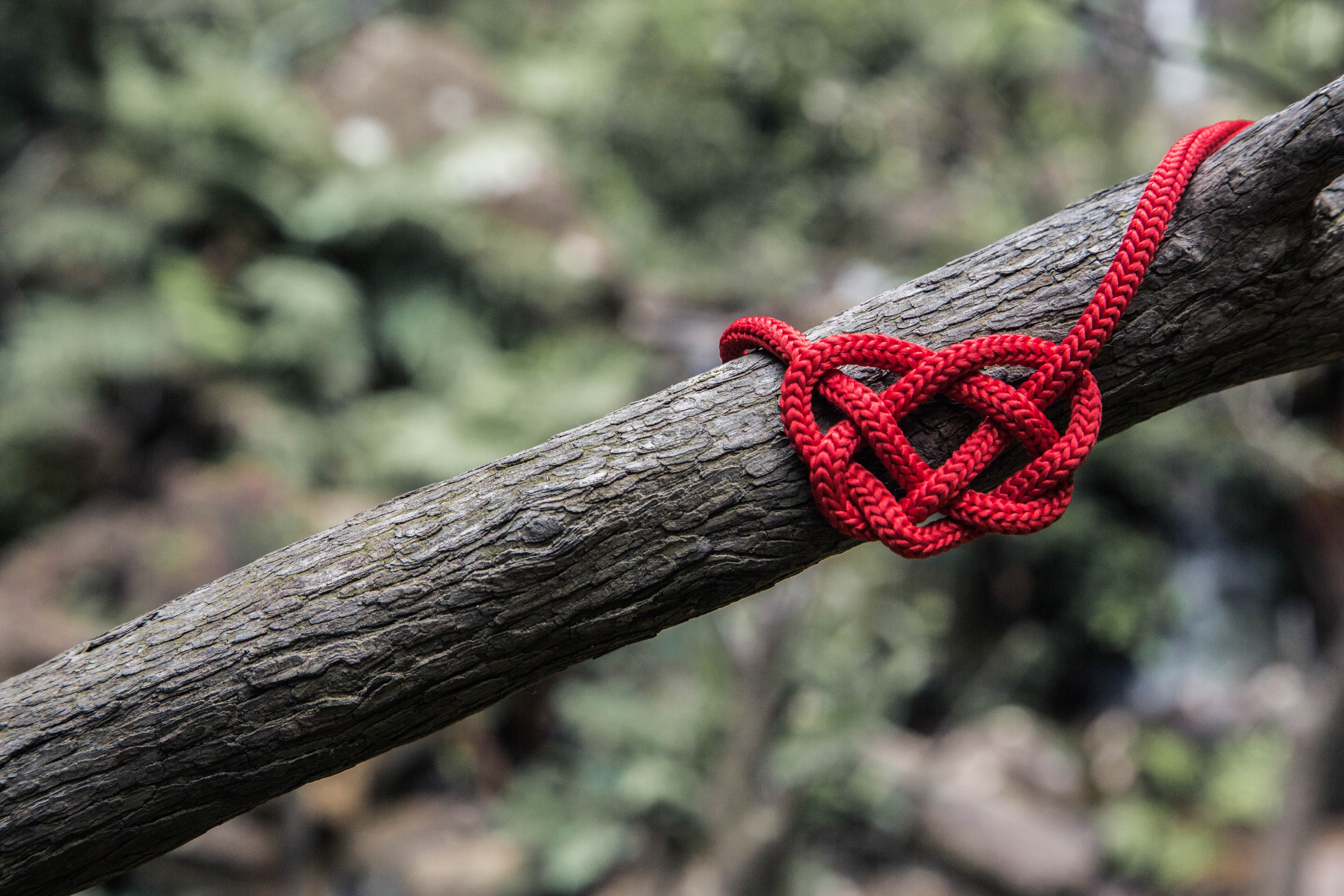 rope connection relationship strong strong PR relationship