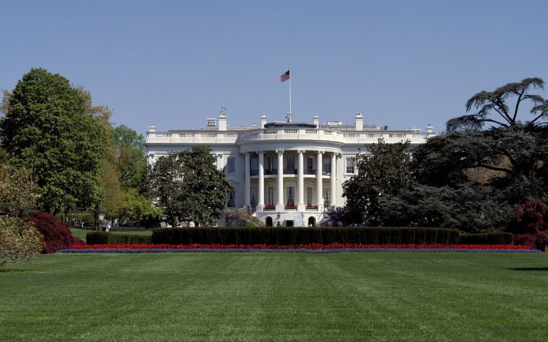 Tech 2020: Why Presidential Candidates Can No Longer Afford to Dismiss Tech Issues